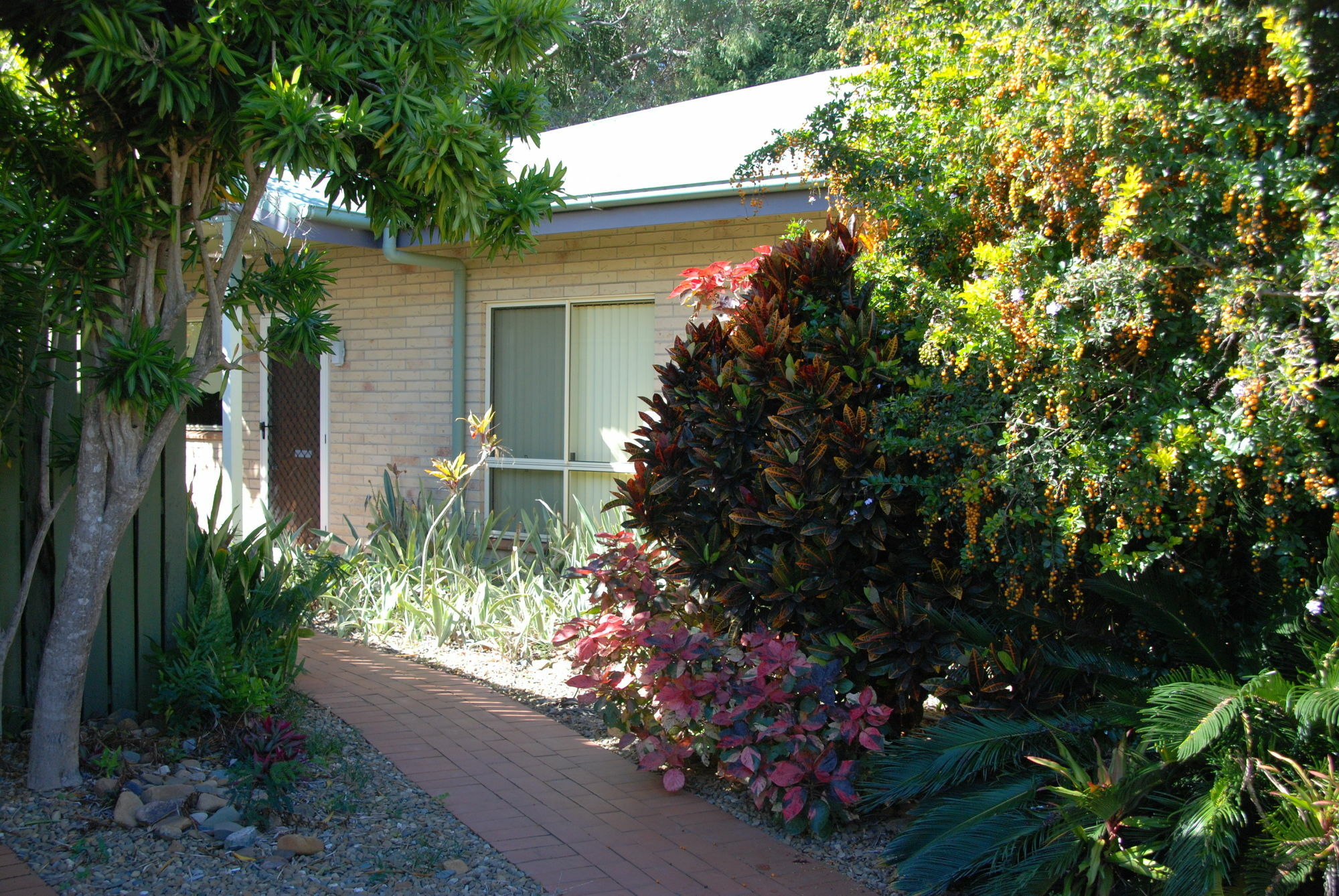 Agnes Palms Motel Agnes Water Exterior photo